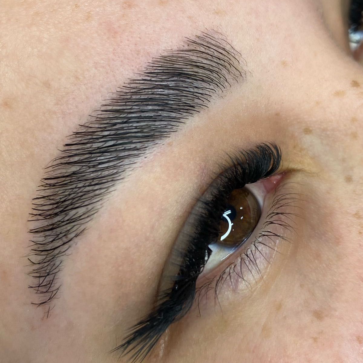 Brow Lamination